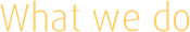 Services - WebHeads Interactive