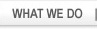 What we do - Website Design