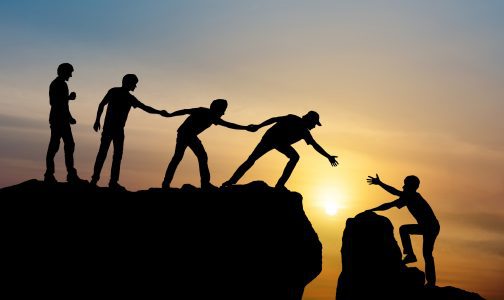 integrated web teams