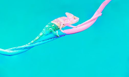the rebrand revolution using colours in business branding choice paralysis in website design
